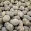 Первые 80 тонн овощей завезли из соседних регионов в Приморье 0