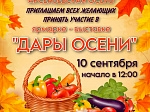 10 сентября в нашем городе пройдет грандиозное событие – межмуниципальный фестиваль «Арсеньевская ос