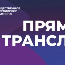 Выставку для слепых к Международному Дню «Белой трости» проводят во Владивостоке