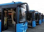 Почти 130 новых автобусов пополнили парк общественного транспорта в Приморье. ИТОГИ ГОДА