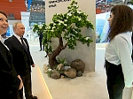 Владимир Путин посетил павильон Приморья на выставке «Россия»