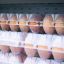Господдержку производителям яиц увеличат в Приморье 0
